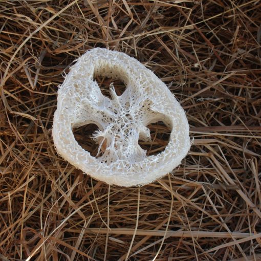 Loofhabit
